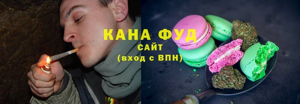 Альфа ПВП Горняк
