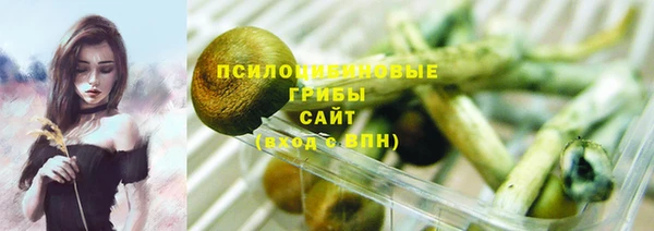 Альфа ПВП Горняк