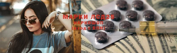 Альфа ПВП Горняк