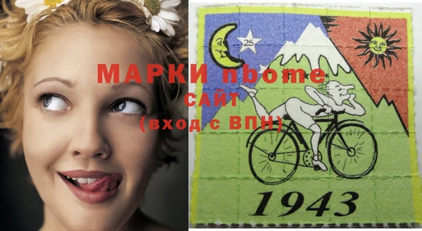 Альфа ПВП Горняк