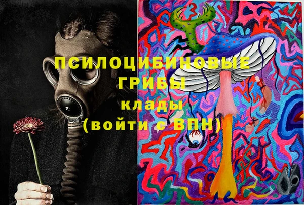Альфа ПВП Горняк