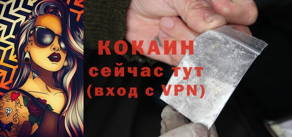 Альфа ПВП Горняк